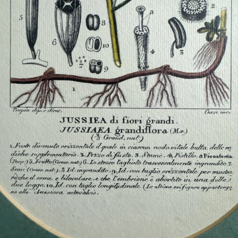 N/A vintage reproduction